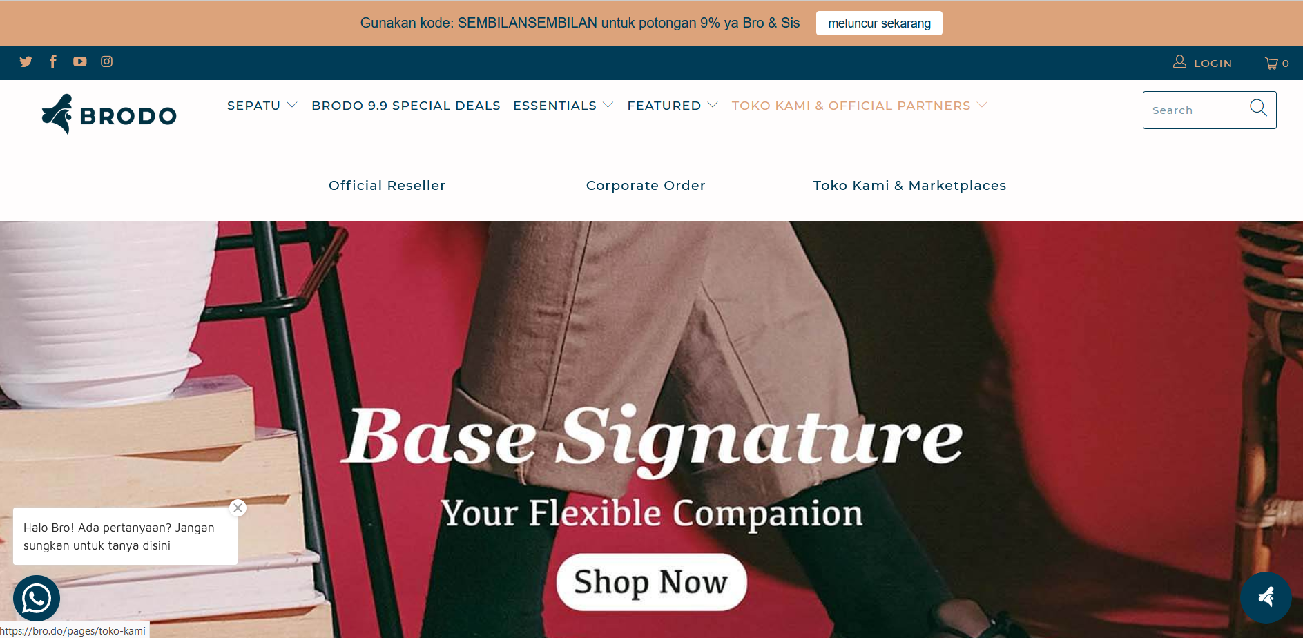 Ecommerce website